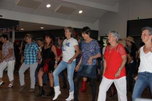 IMG 5391