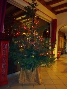 IMG 20201210 172657808