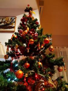 IMG-20201206-WA0004