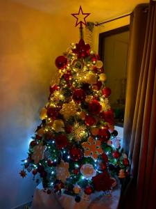 IMG-20201209-WA0001
