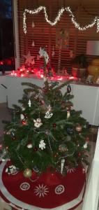 IMG-20201208-WA0002