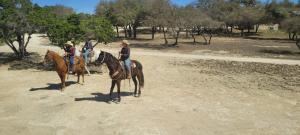 IMG-20250319-WA0004