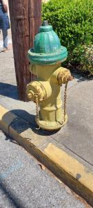 IMG-20250322-WA0004