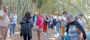 IMG-20250322-WA0026