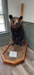 IMG-20250322-WA0029