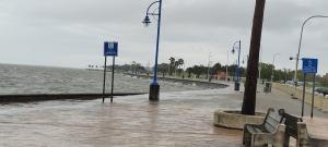 IMG-20250325-WA0004