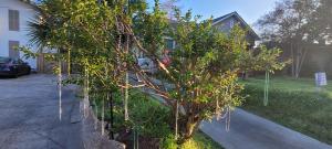 IMG-20250326-WA0001