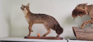 IMG-20250326-WA0012