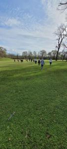 IMG-20250326-WA0027
